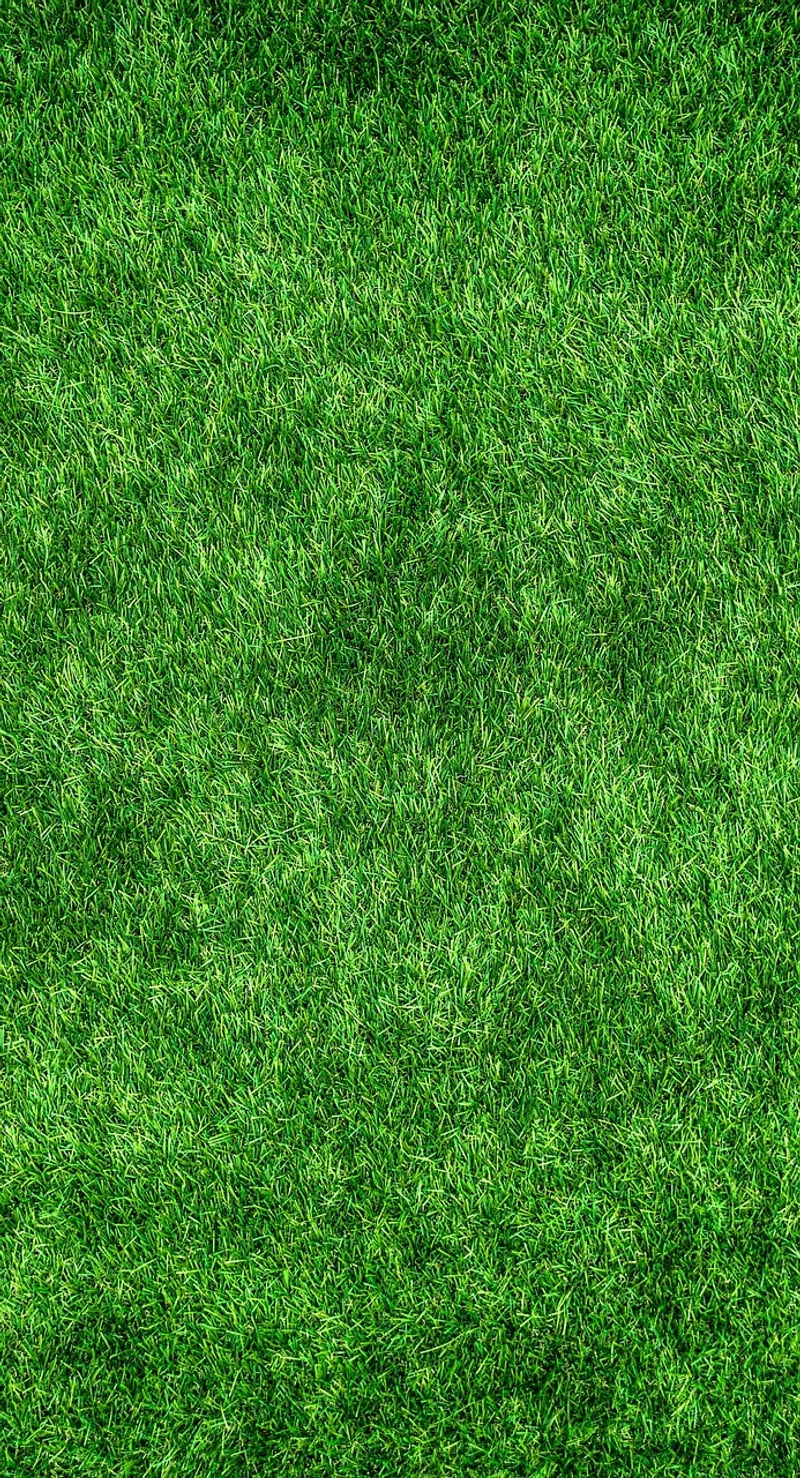 Eco-friendly Apparel